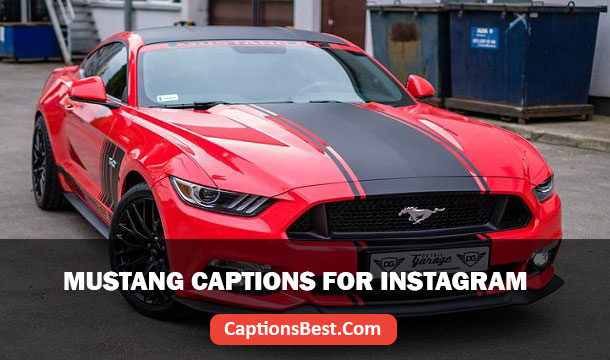 Mustang Captions for Instagram