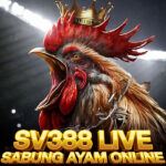 sv388