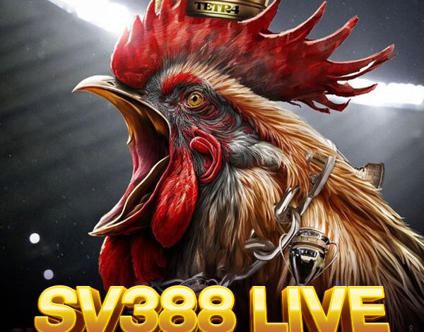 Ayam SV388: Sensasi Adu Ayam dengan Sistem Modern